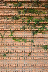 dirty block interior design, birck wall background