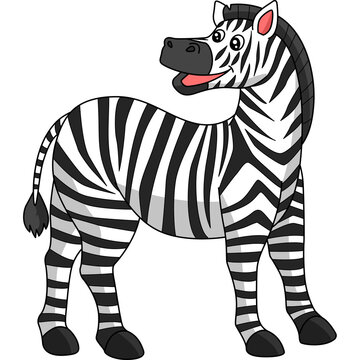  Zebra Cartoon Colored Clipart Illustration