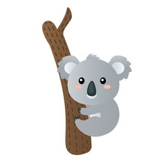 Australian animal koala cartoon vector illustration isolated object © BabyQ