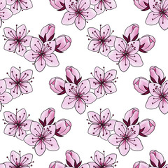 seamless pattern with drawing flower of plum tree at white background, hand drawn illustration