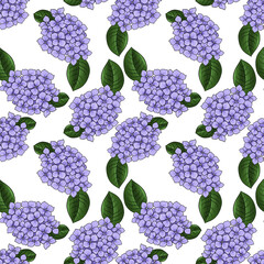seamless pattern with drawing flower of hydrangea at white background, hand drawn illustration