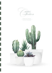 Watercolor cactus cover template background vector design