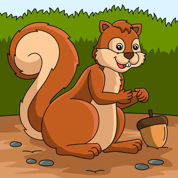  Squirrel Cartoon Colored Animal Illustration