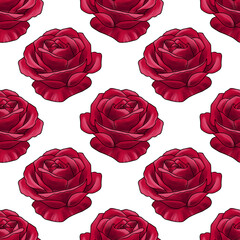 seamless pattern with drawing red flower of rose at white background, hand drawn illustration