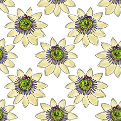 seamless pattern with drawing flowers of passiflora, passion vine at white background, hand drawn illustration