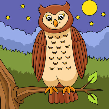 Owl Cartoon Colored Animal Illustration