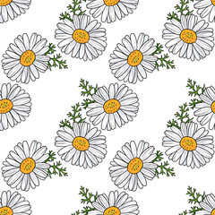 seamless pattern with drawing flowers of camomile at white background, hand drawn illustration