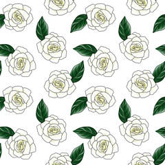 seamless pattern with drawing flowers of gardenia at white background, hand drawn illustration