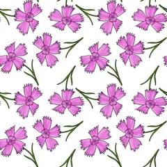 Fotobehang Tropische planten seamless pattern with drawing flower of pink wild carnation at white background, Dianthus deltoides, hand drawn illustration