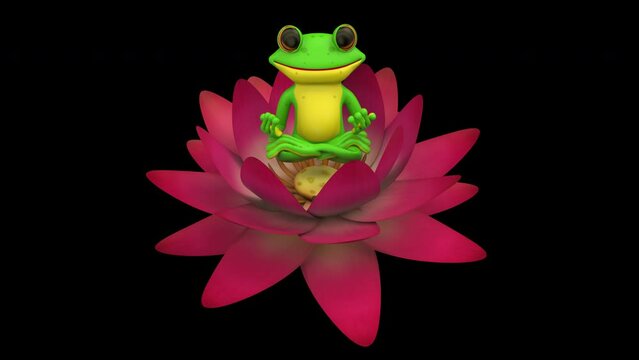 Frog lotus pose meditation - 3d render looped with alpha channel. 