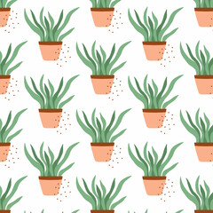 Fototapeta na wymiar Seamless pattern with houseplant. Vector illustration in hand drawn style.