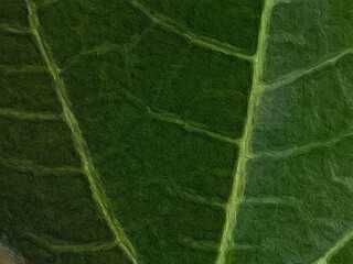 Sweet pastel watercolor paper texture for backgrounds. colorful abstract pattern. The brush stroke graphic abstract. Picture for creative wallpaper or design art work.