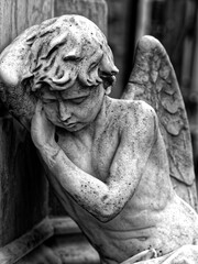 Angel statue at the cemetery - 489987327