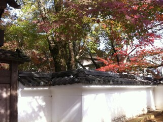 white traditional temple wall / divider