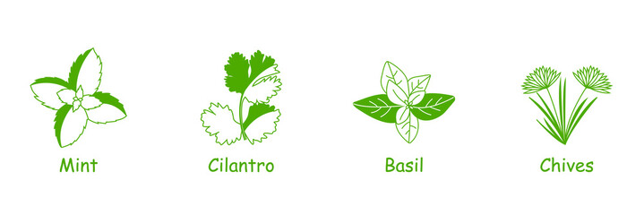 herbs and spices icon set mint, cilantro, basil, chives  - obrazy, fototapety, plakaty