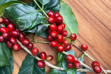 close up of fresh coffee beans on wooden background                                