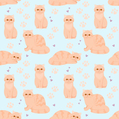 Seamless pattern with exotic cats. Cartoon design. Vector illustration.
