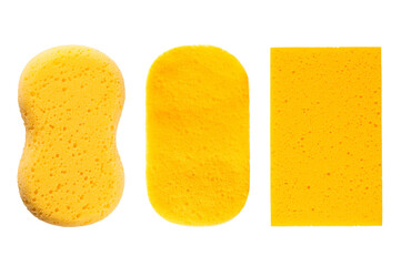 Set of sponge isolated on white background. - obrazy, fototapety, plakaty