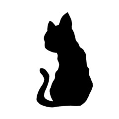 cat vector