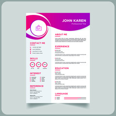Professional cv or resume template