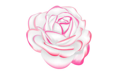 Pink white tone Rose design