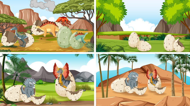 Four scenes with dinosaur eggs in the field