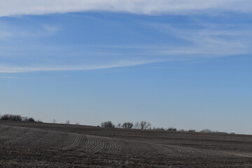 Blue Sky Over a Farm Field