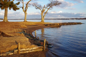 涸沼　親沢の鼻