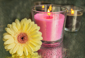 yellow gerber flower and candle