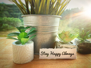 Stay happy always text on torn paper with shining light and plant background. Motivational concept.
