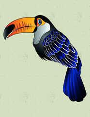 toucan bird exotic