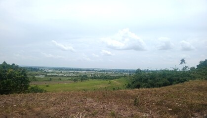 Obraz premium the landscape of the Cakat Raya swamp area, the Tulang Bawang Menggala way, Lampung