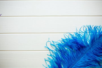 Multicolored bright colorful feathers of exotic birds on a white wooden background. Empty space for design, copy and text. Delicate background texture. Ostrich feathers.