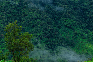 Fototapeta premium Beautiful Doi pui view point chiangmai thailand with green forest on the mountain background.
