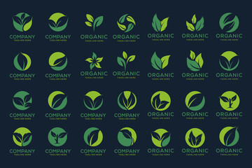 Set of organic leaf logo design collection