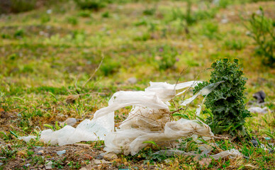Fototapeta premium Ecological pollution of nature. Plastic bag tangled in plants against the backdrop of the mountains. Global environmental pollution.