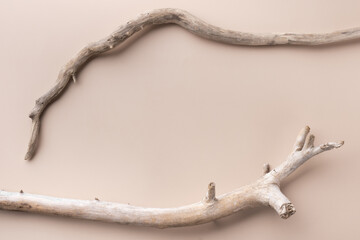 Mockup with dry branches on beige background