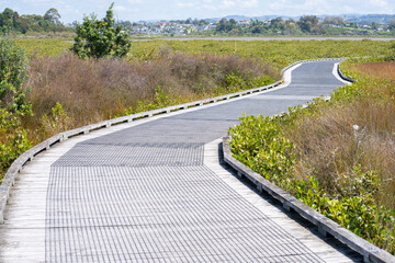 Walk and cycleway through Matua Salt Marsh