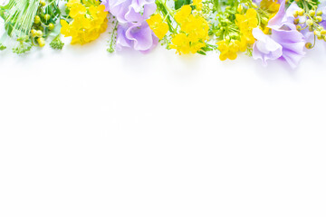 スイトピー、菜の花　春の花の花束