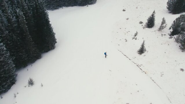 Drone Aerial View Of Man Splitboarding Alone Through Snowy Rocky Mountains Alpine Forest Opening With Light Snowfall.