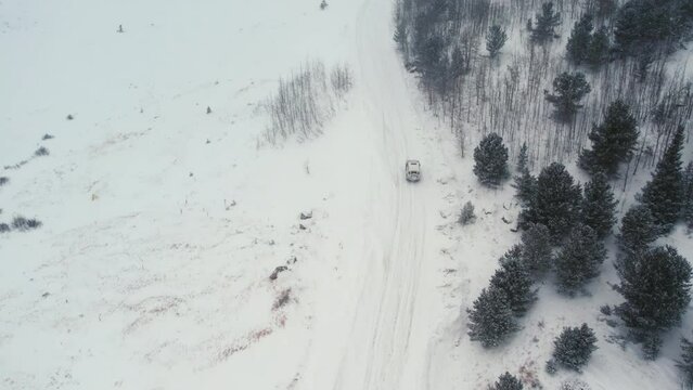 Land Rover Defender D90 SUV Backcountry Off-Roading Up Snowy Alpine Forest Road Near Rocky Mountains Nederland Boulder Colorado USA During Blizzard Snowfall.