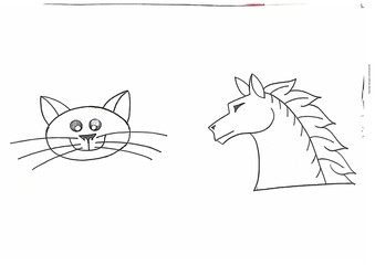 cat and horse