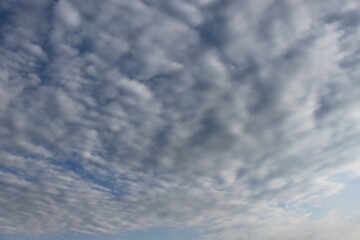 Fototapeta premium blue sky with clouds