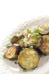 homemade Chinese grilled eggplant served with spring onion