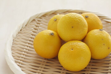 Japanese fruit, Shonan Golden Mandarin orange on bamboo basket