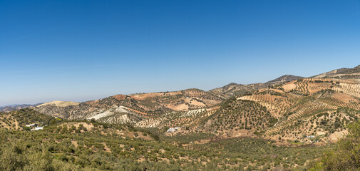 Fototapeta na wymiar panorama of hilly farmland and backcountry in the south of Spain