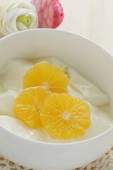 sweet mandarin orange and yogurt with copy space