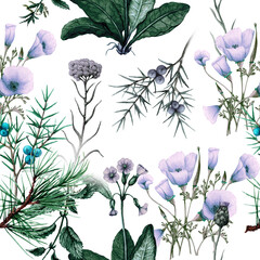 Hand drawn seamless pattern of wildflowers and plants