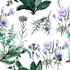Foto op geborsteld aluminium Aquarel natuur set Hand drawn seamless pattern of wildflowers and plants