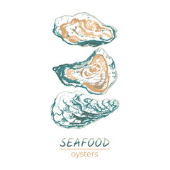 314_oyster_set of fresh oysters, shells sketch, vector graphic template illustration for farm logo
